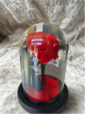 Preserved Red Rose in Glass Dome Cloche Display Beauty & The Beast Decor